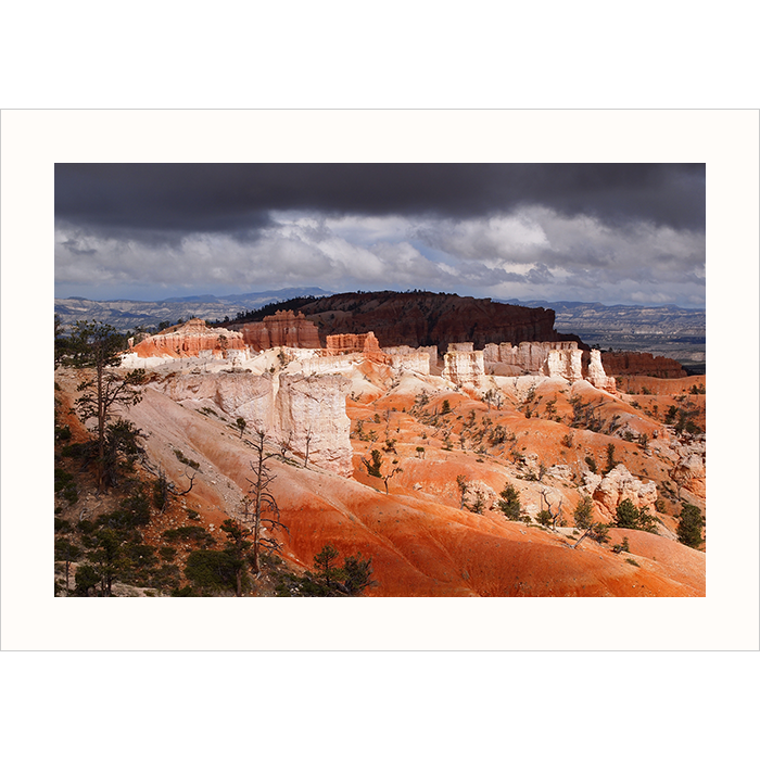 Storm Over Bryce Canyon